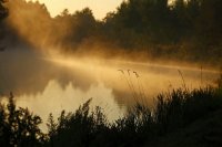 Bords de Somme