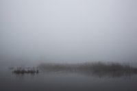 Brouillard sur étang Saint-Ladre (Somme)
