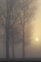 Lever de soleil dans la brume (Haute-Somme)