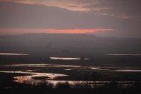 Marais de Blanquetaque (Somme)